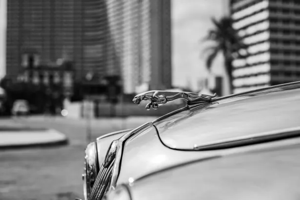 BetRegal Cazino Cazinou Aplicație Android/iOS